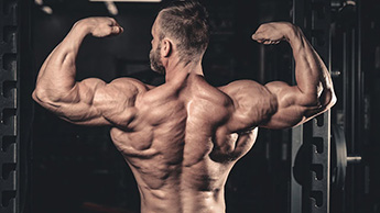 ¿Qué equipo de fitness se puede usar para el entrenamiento con los músculos del hombro?