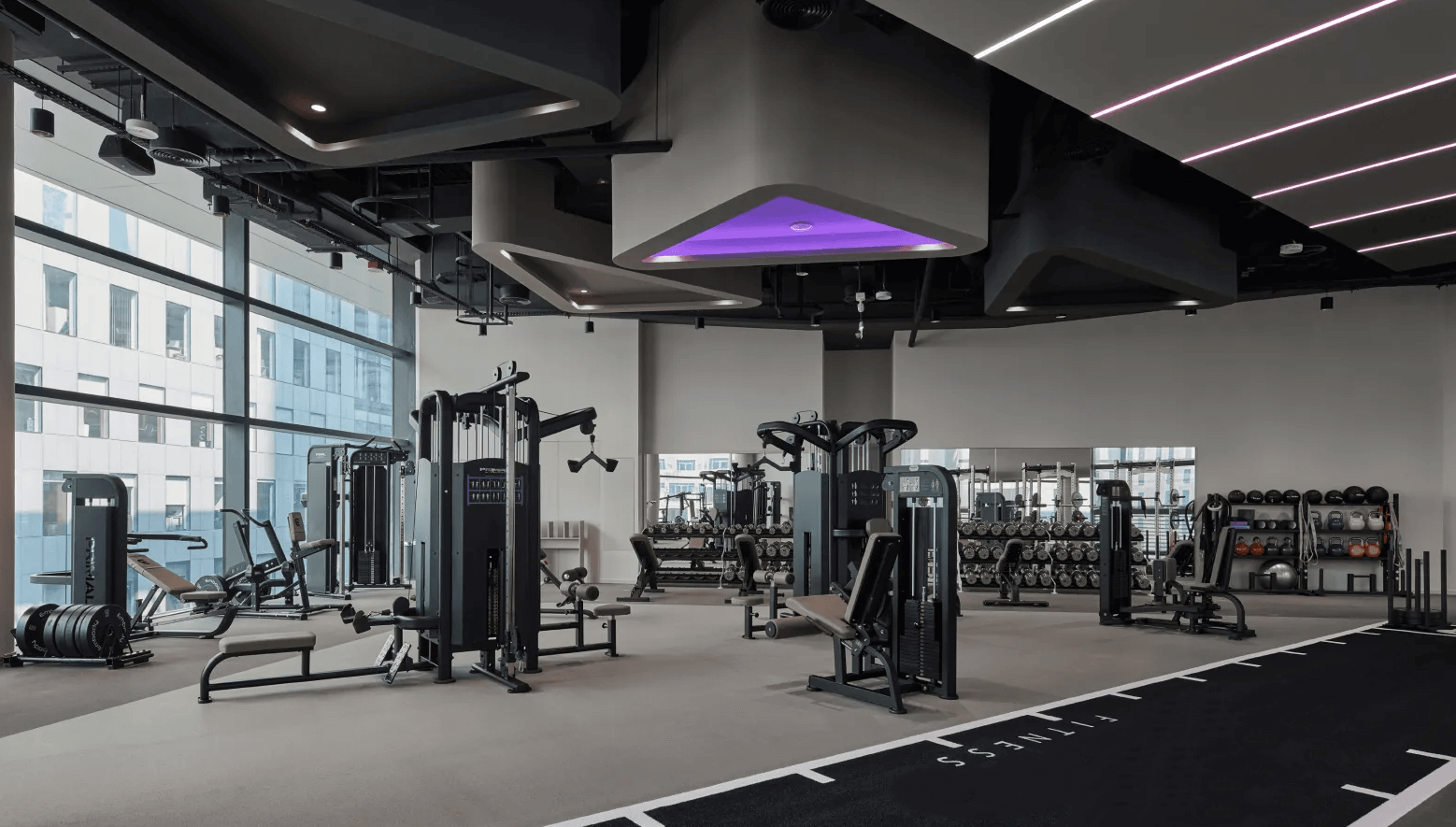 ¿Qué equipo de gimnasio esencial necesita todo gimnasio?