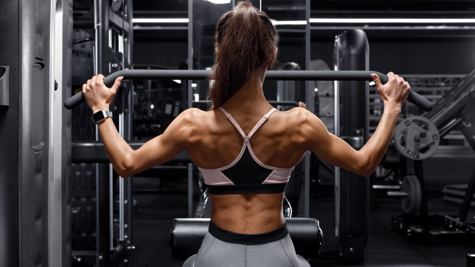 Guía de uso de equipos de fitness - Edición de entrenamiento de espalda
