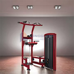 Máquina asistida de inmersión y pull-up