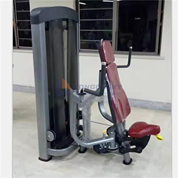Máquina de gimnasio de mosca pectoral